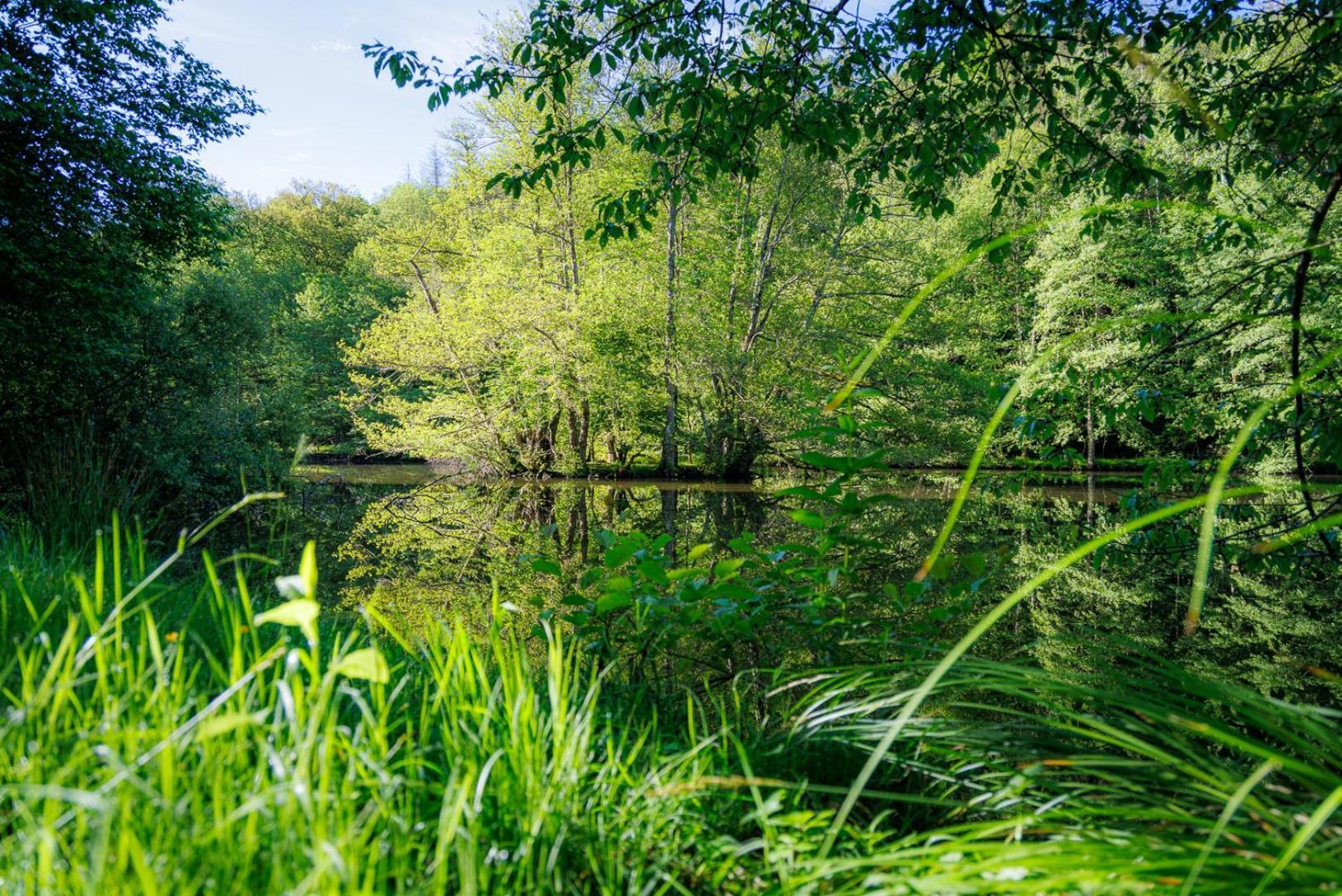 Moulin De Retord, Cote Etang - Chambres D'Hotes Perassay エクステリア 写真