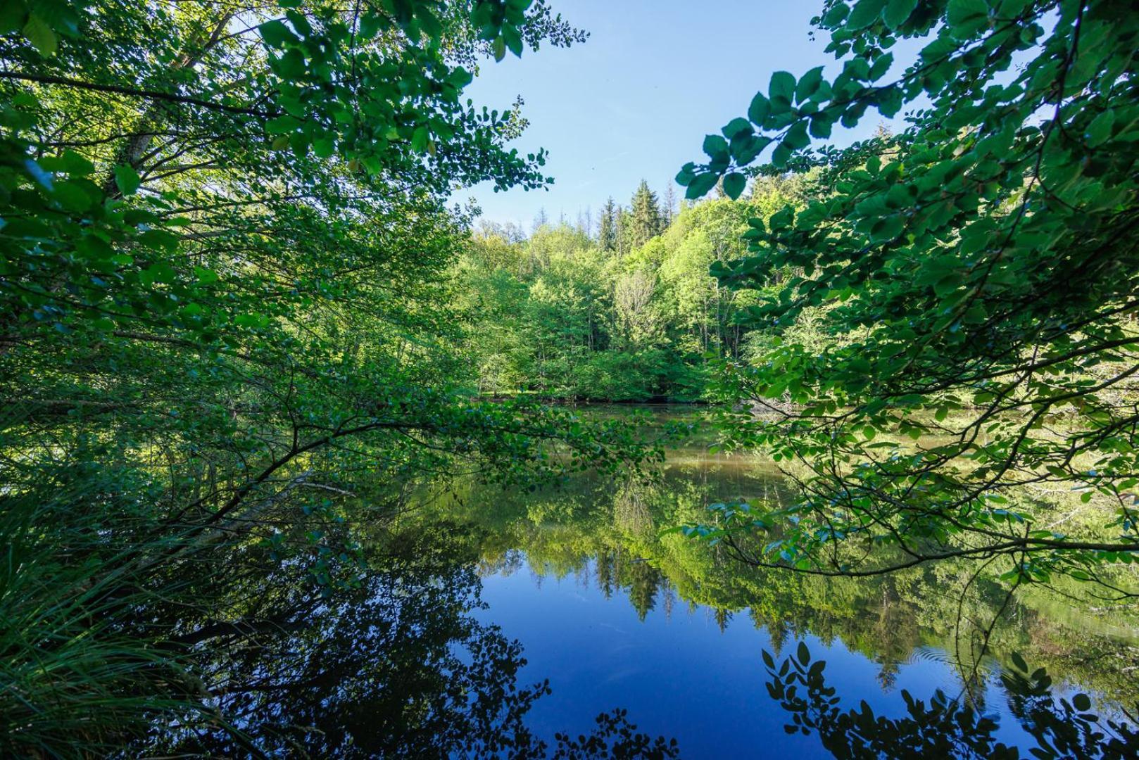 Moulin De Retord, Cote Etang - Chambres D'Hotes Perassay エクステリア 写真