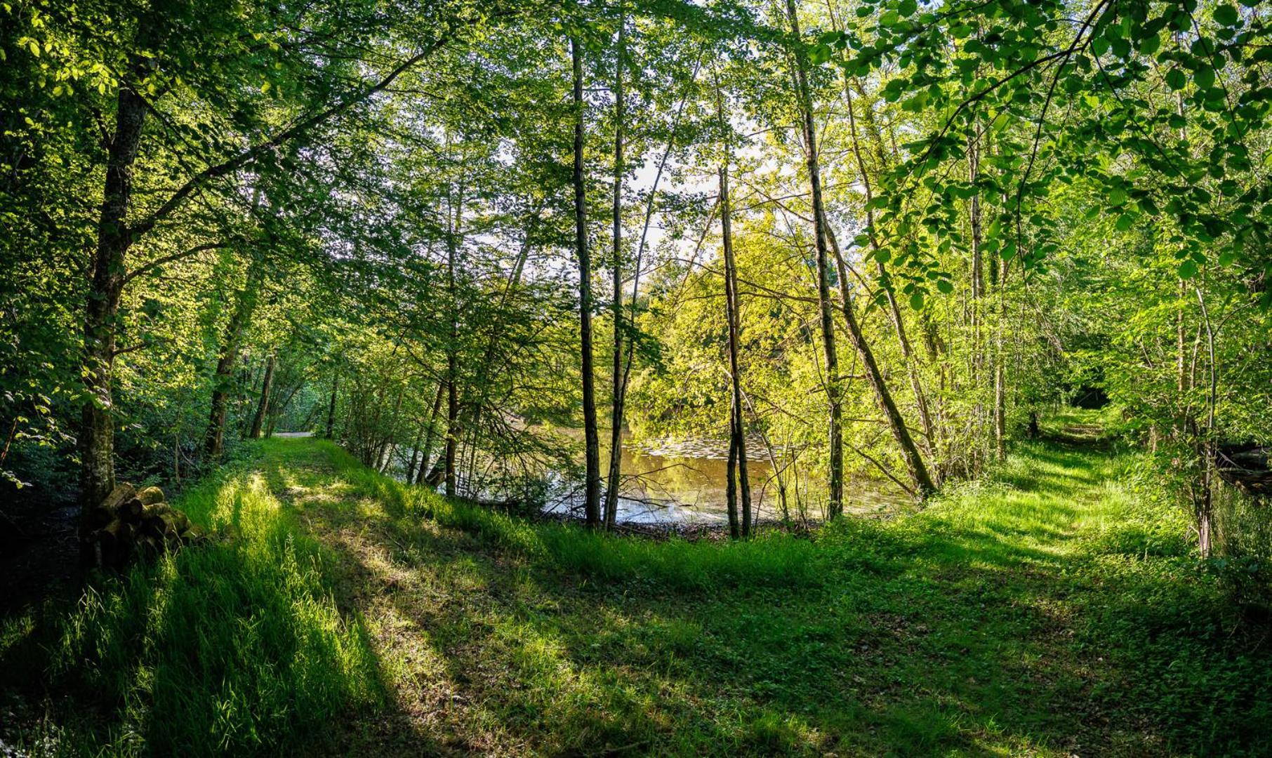 Moulin De Retord, Cote Etang - Chambres D'Hotes Perassay エクステリア 写真