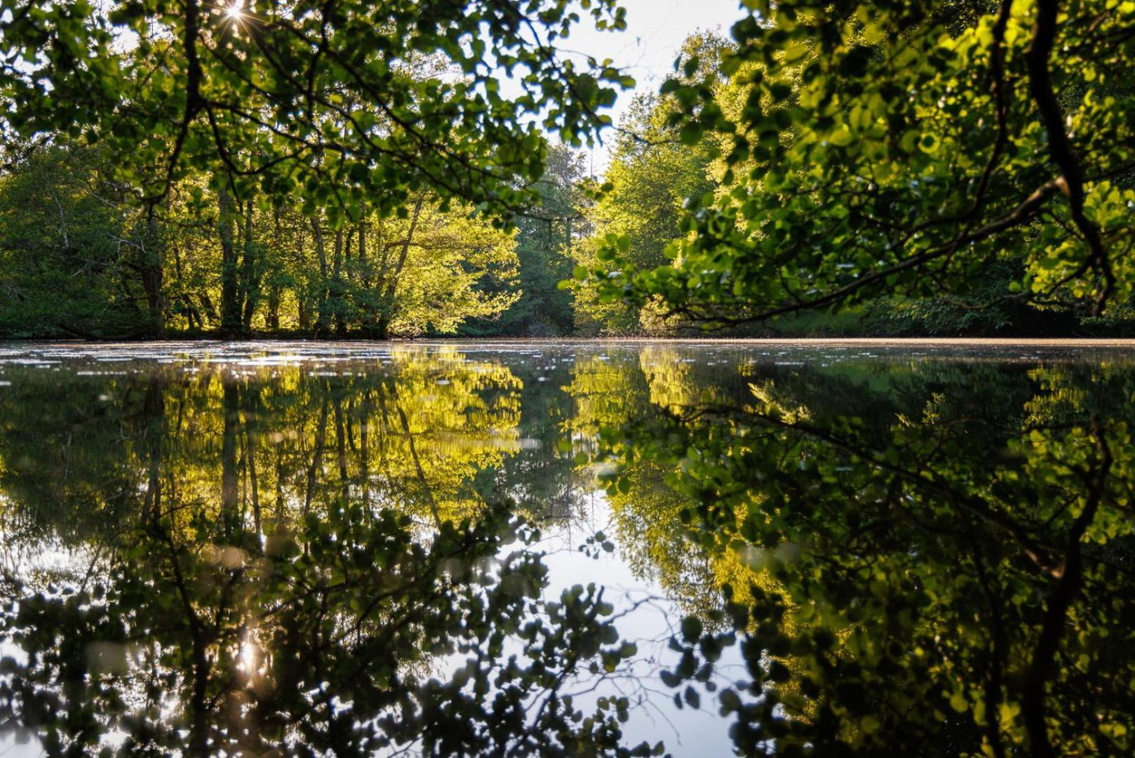 Moulin De Retord, Cote Etang - Chambres D'Hotes Perassay エクステリア 写真